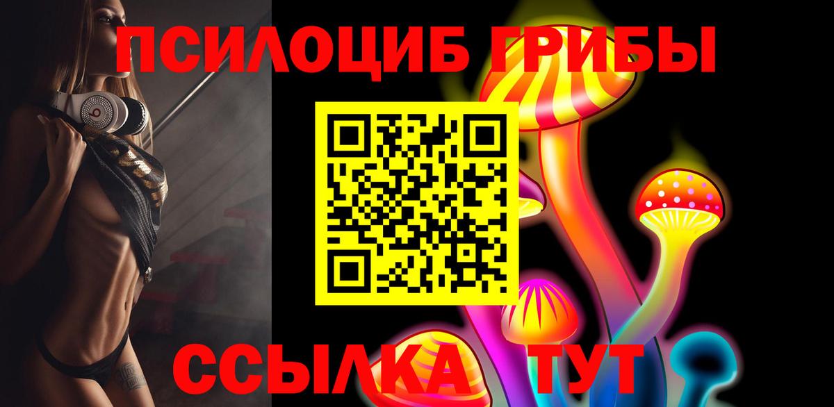 Псилоцибиновые грибы мицелий  Псилоцибиновые грибы Psilocybine cubensis  Урай  Вход с VPN 